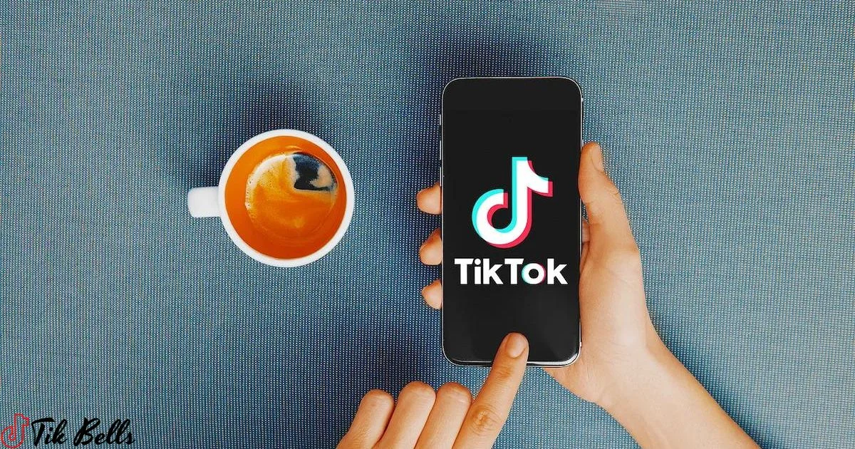 How Much Does Tertaay Make On Tiktok?