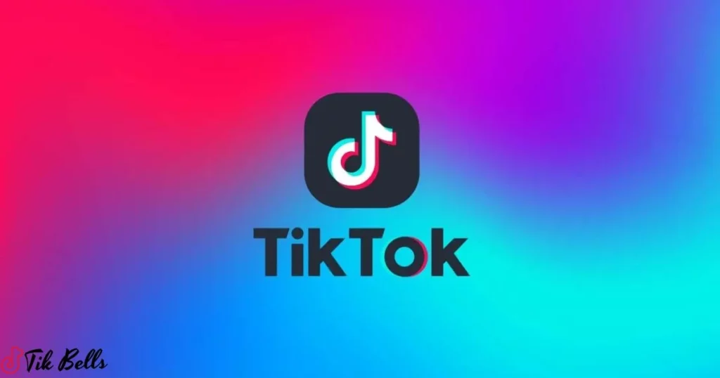 TikTok and Search History Transparency