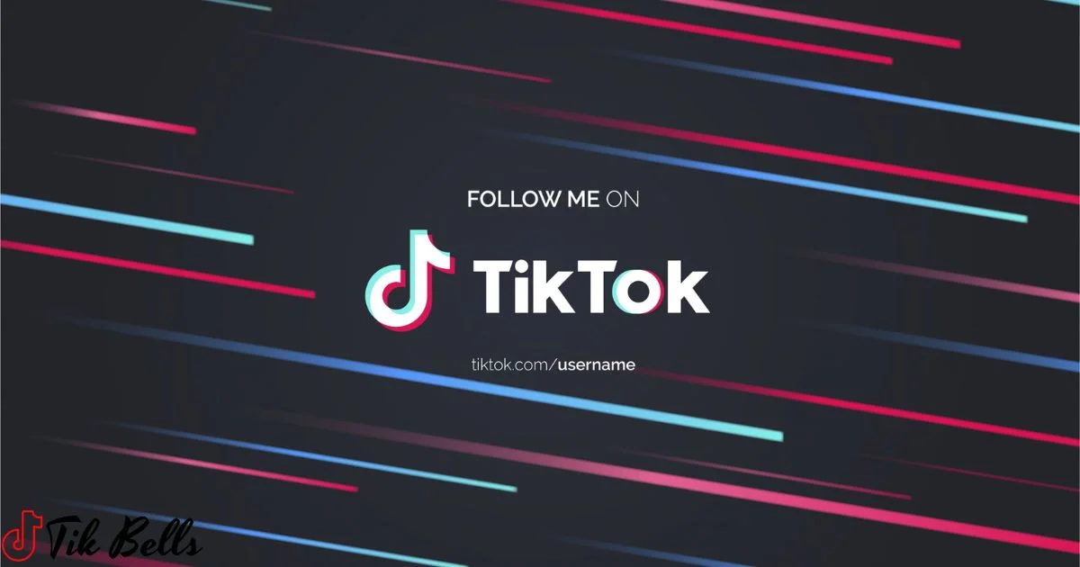 What Does Invalid Parameters Mean On Tiktok?